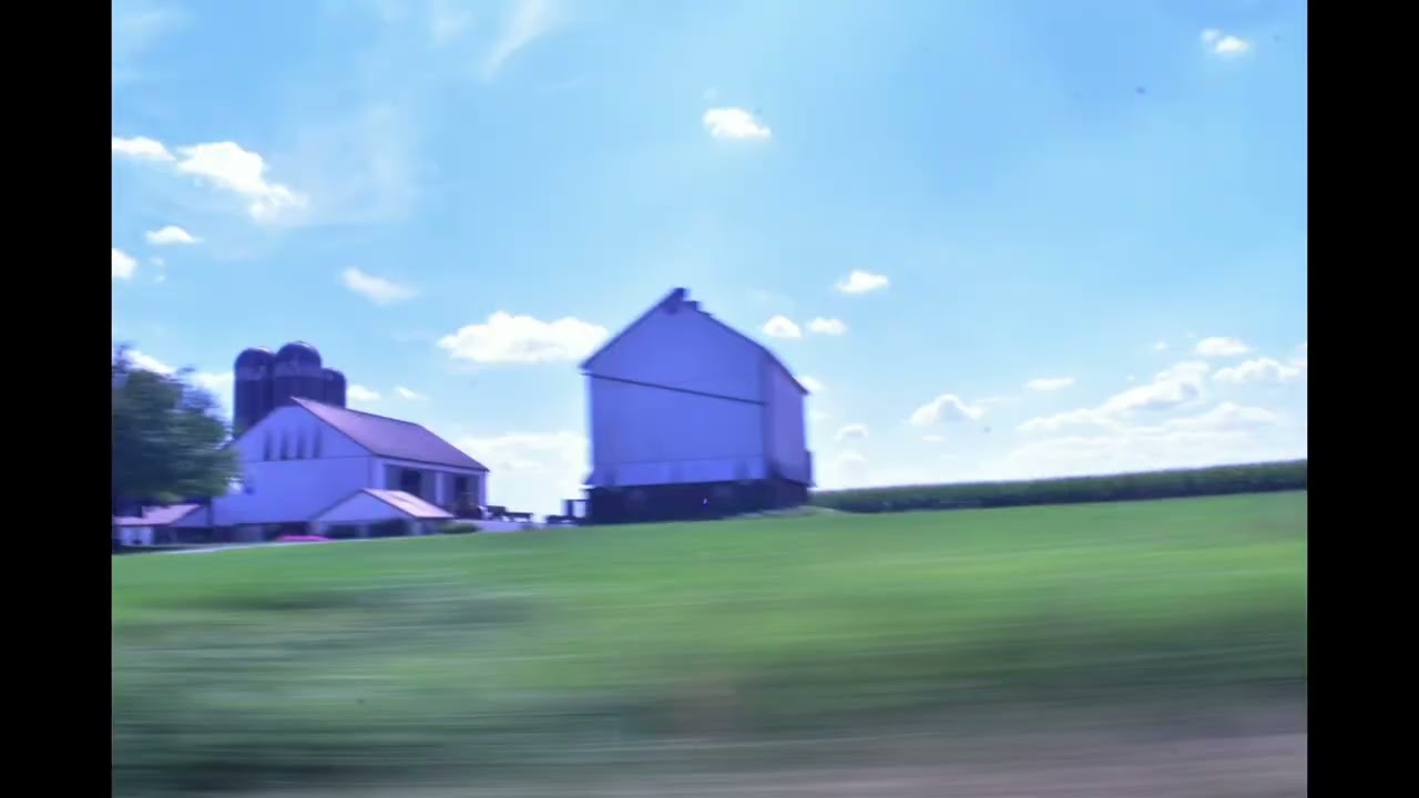Alexander Hibbs - NOSTALGIC SUMMER (Official Music Video) 