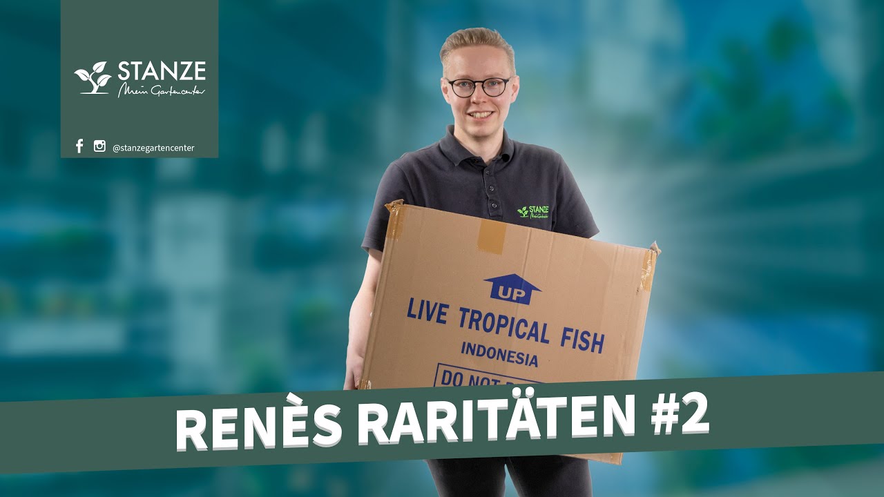 5 RARIT&Auml;TEN aus der Aquaristik | Ren&egrave;s Rarit&auml;ten #2