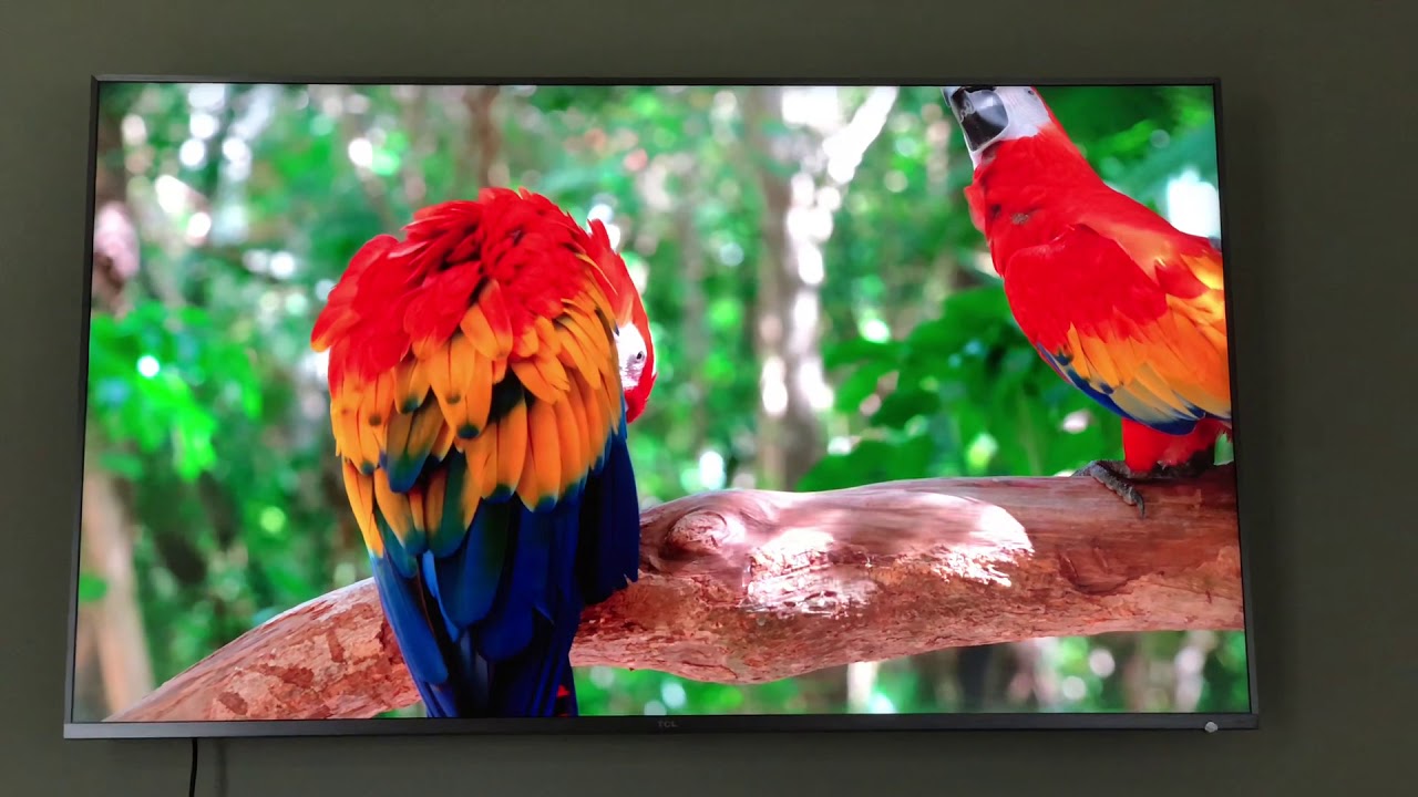 TCL 6 series&rsquo;s R6 65&rsquo; 2018