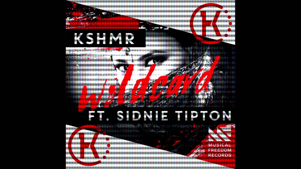 KSHMR Feat. Sidnie Tipton - Wildcard (Haaradak Hardstyle Edit)FREE DL