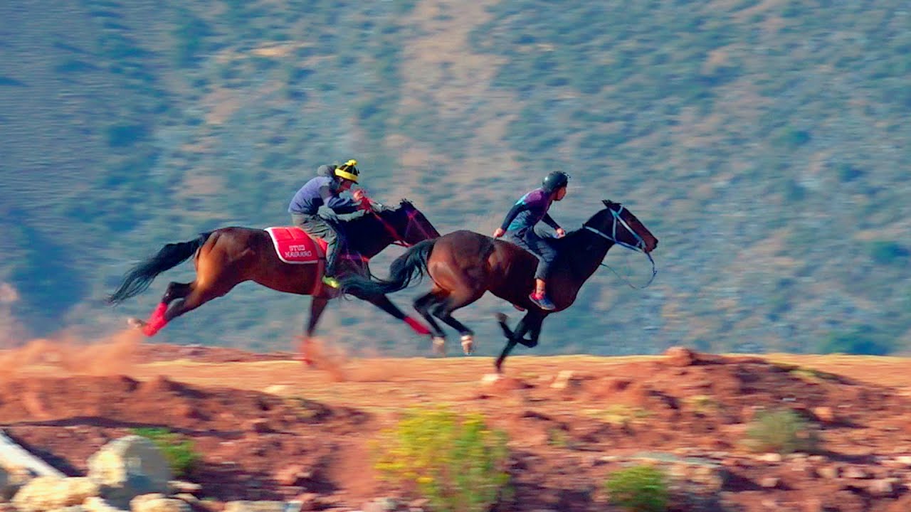 LO MEJOR DE ANTABAMBA 2021 -   CARRERAS DE CABALLOS