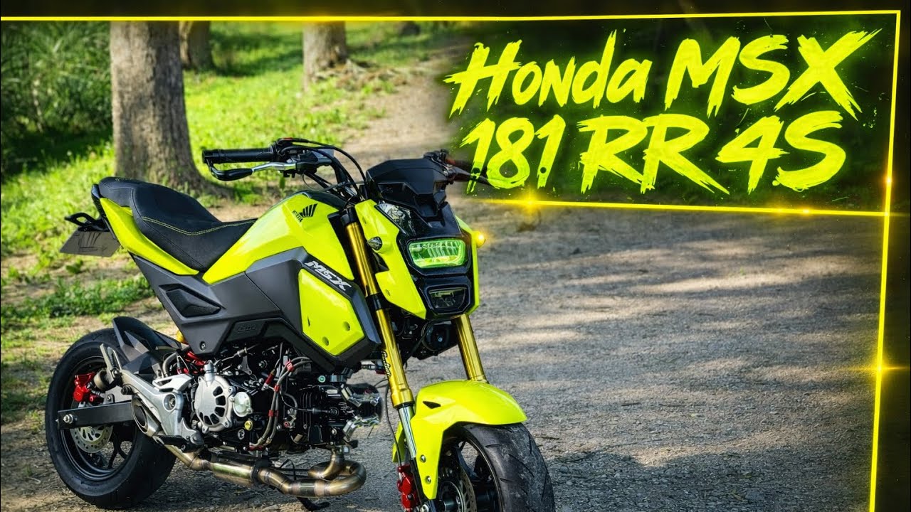 Honda MSX / GROM 181 4S by NoxCustom 🔥🔥🔥