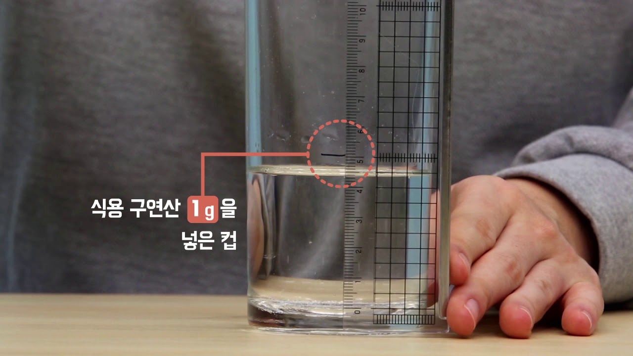 과학자처럼 예상하기