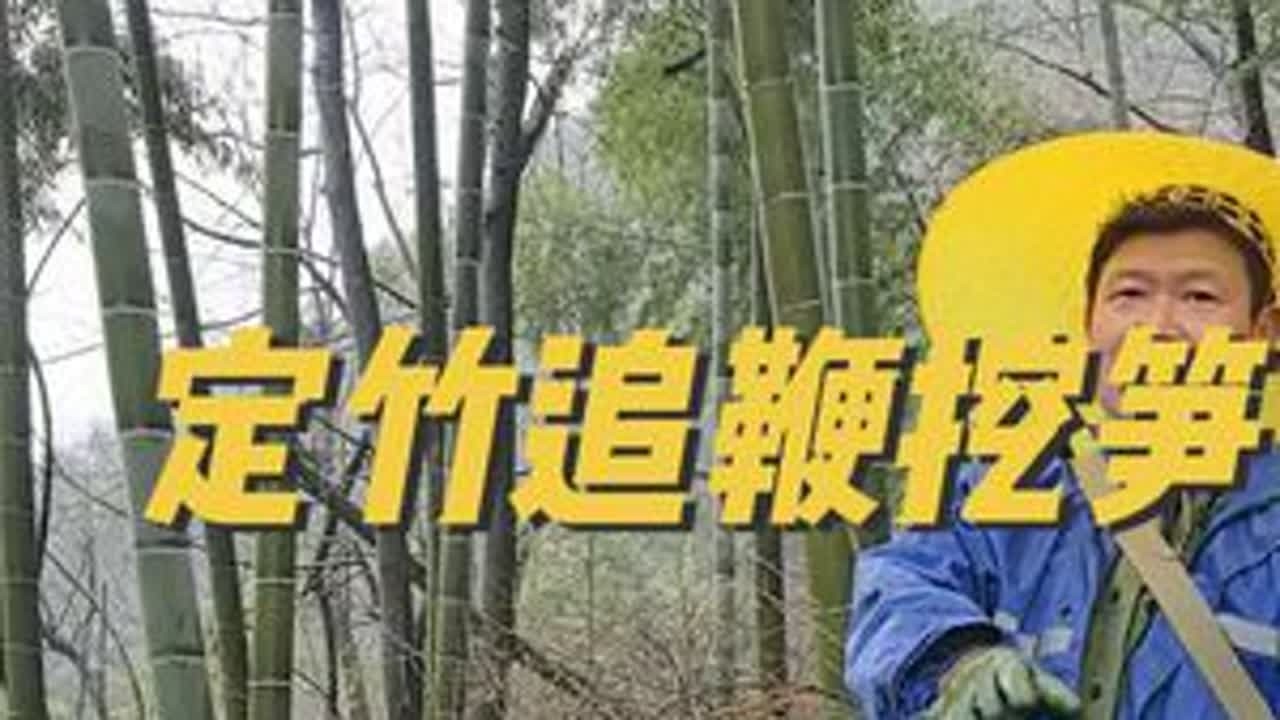 定竹追鞭挖笋！