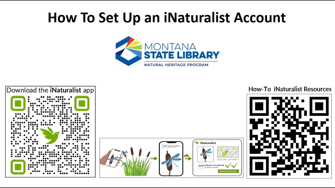 Настройка учетной записи iNaturalist