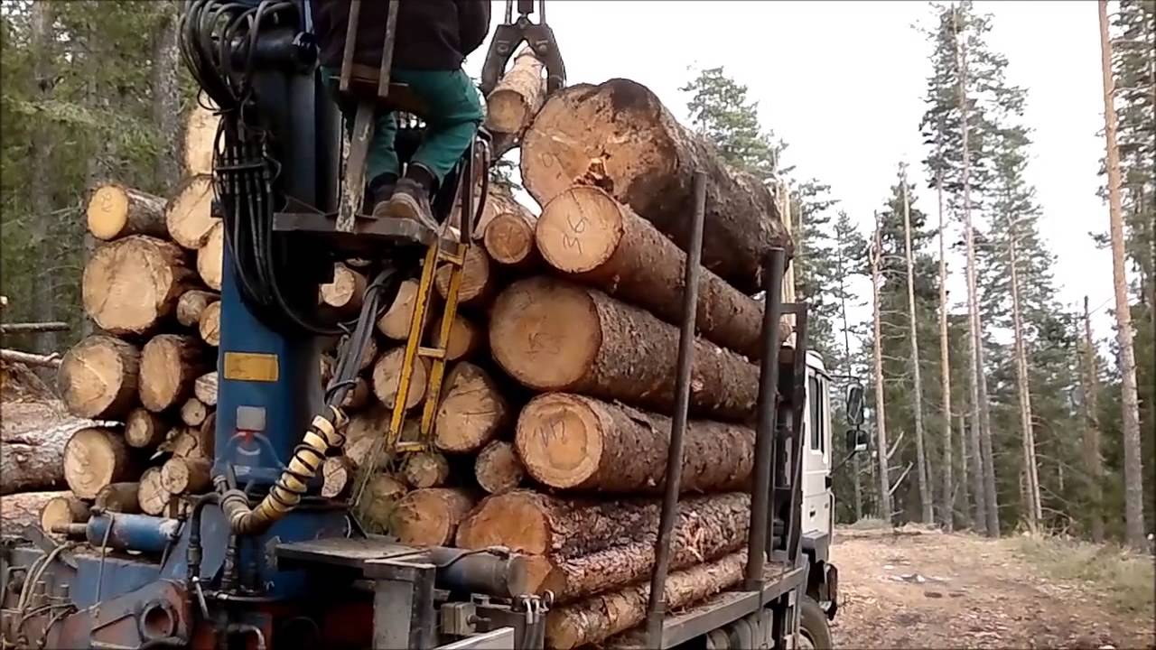 MAN 28.403 6x6 Holztransporter-Logging truck