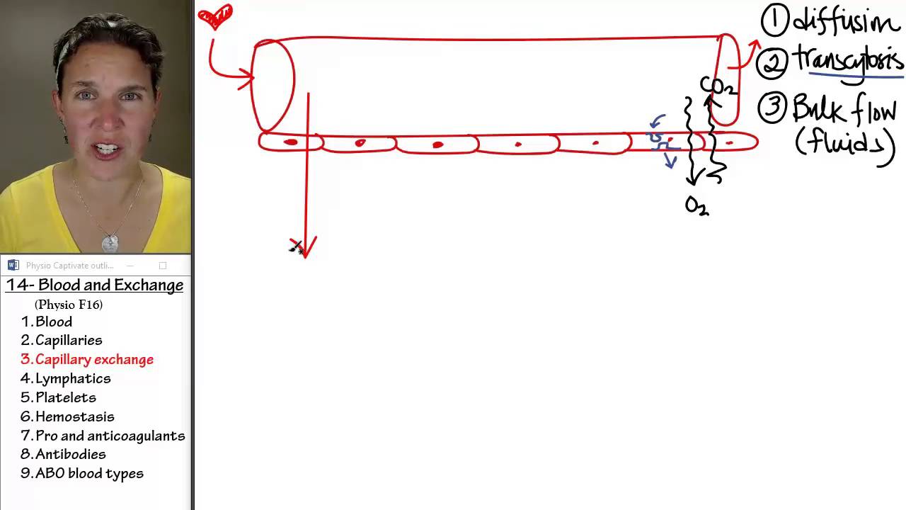 Blood 3- Capillary exchange