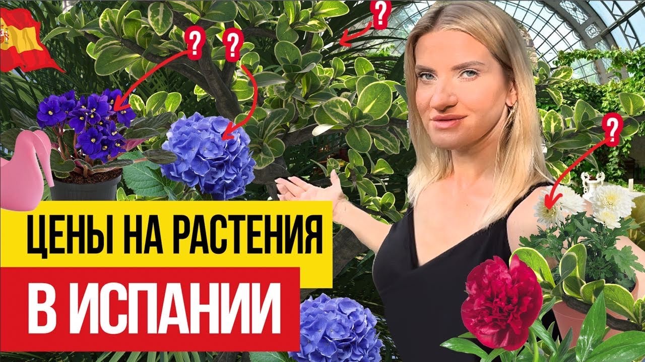 🇪🇸 Сколько стоит обустроить свой сад в Испании?
