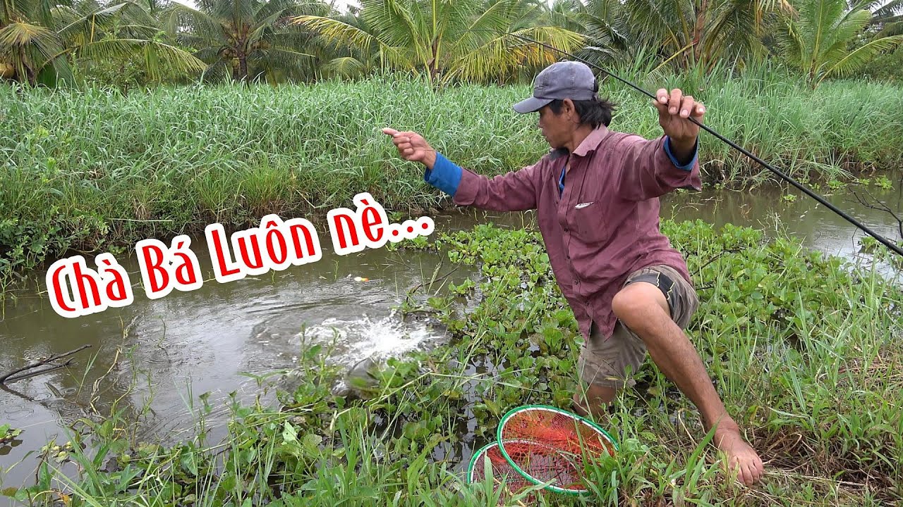 Đụng Trúng Đối Thủ Nặng Kí Kéo - QUẬT CẦN / Nghề Đi Câu