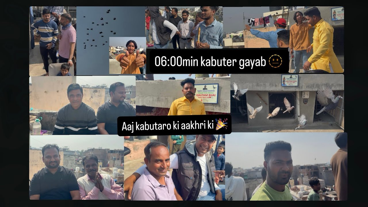 21/02/2026 ko kabutaro ki aakhri ka shock gautam bhai tower wale loft❤️🕊️