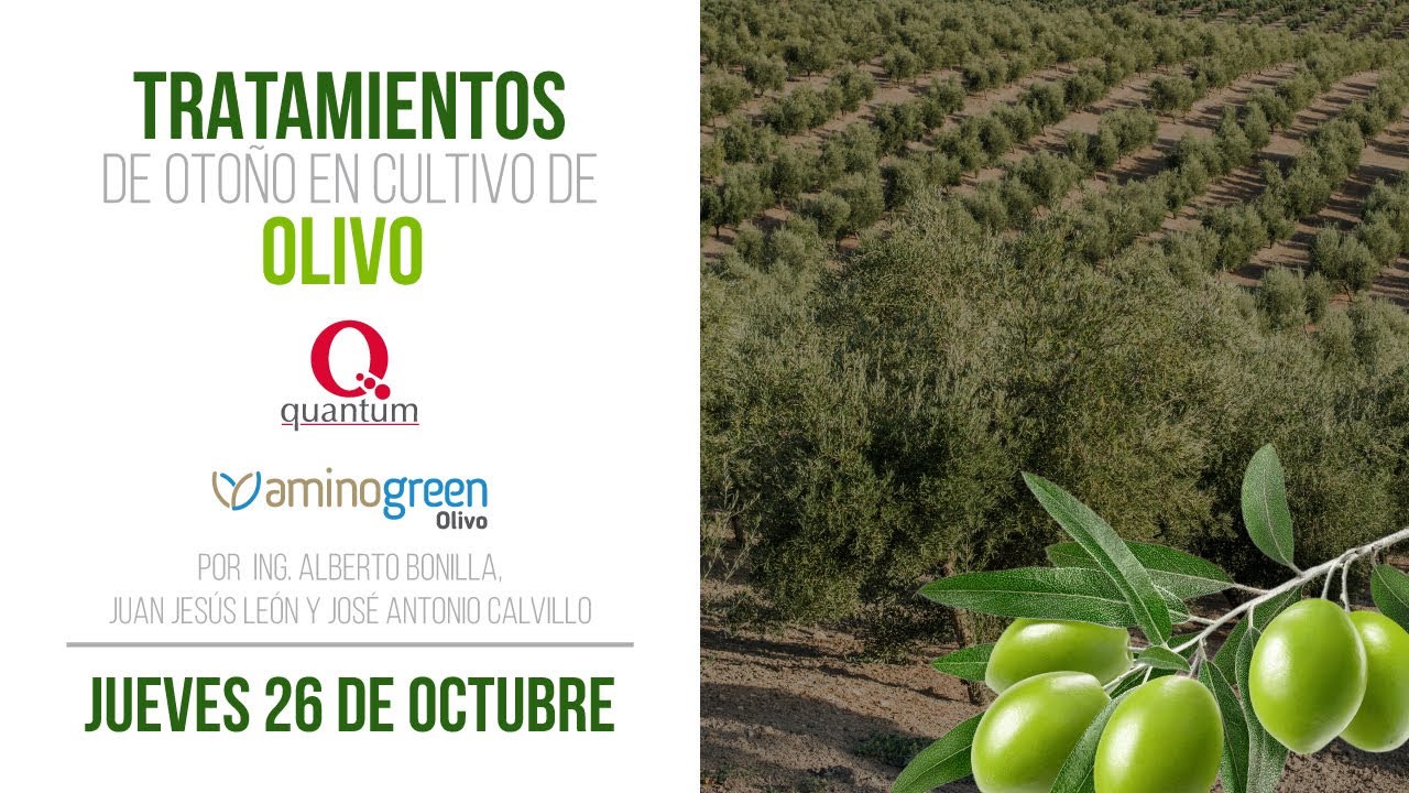 Charla técnica sobre tratamientos de otoño en olivo