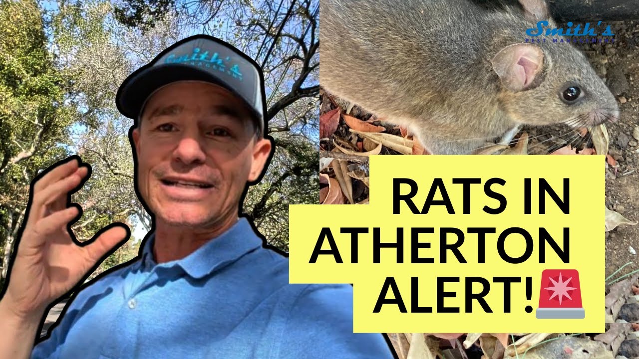 The Real Reason Rats Choose Atherton Homes (It's Not What You Think)