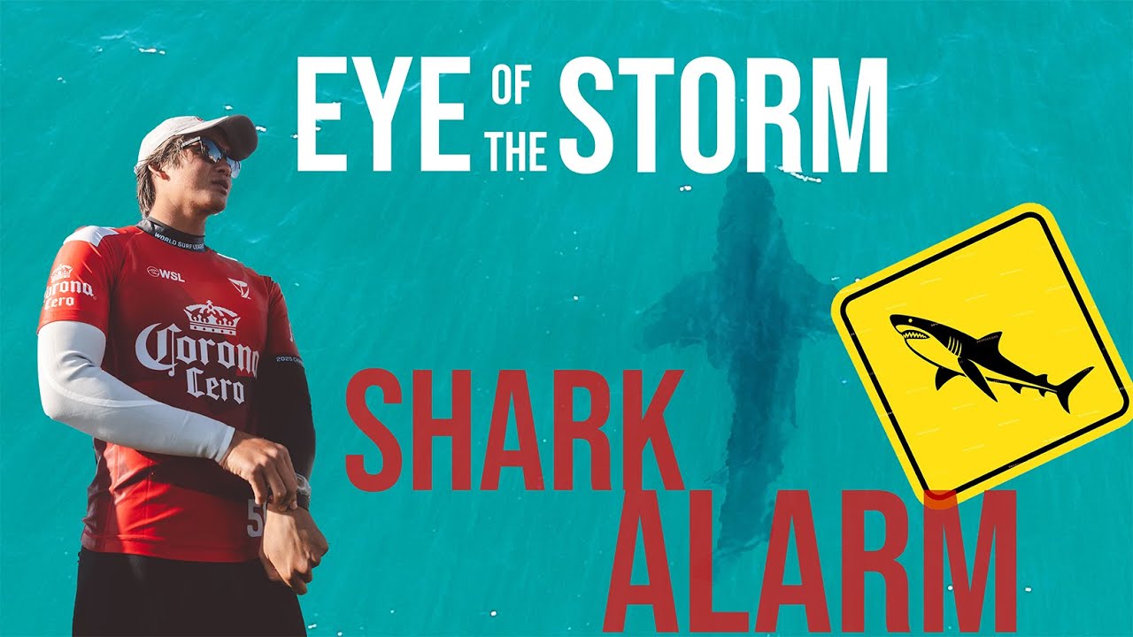 SHARK IN A HEAT! | EYE OF THE STORM #25