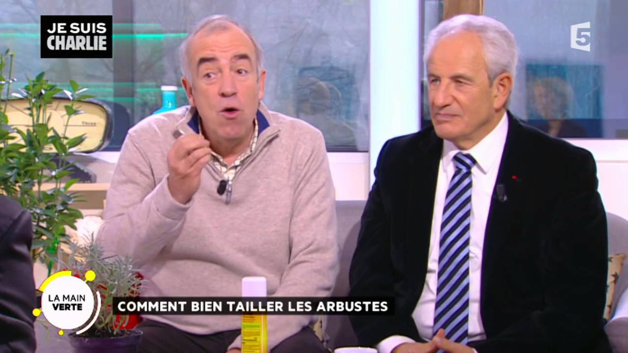 Comment bien tailler les arbustes ?