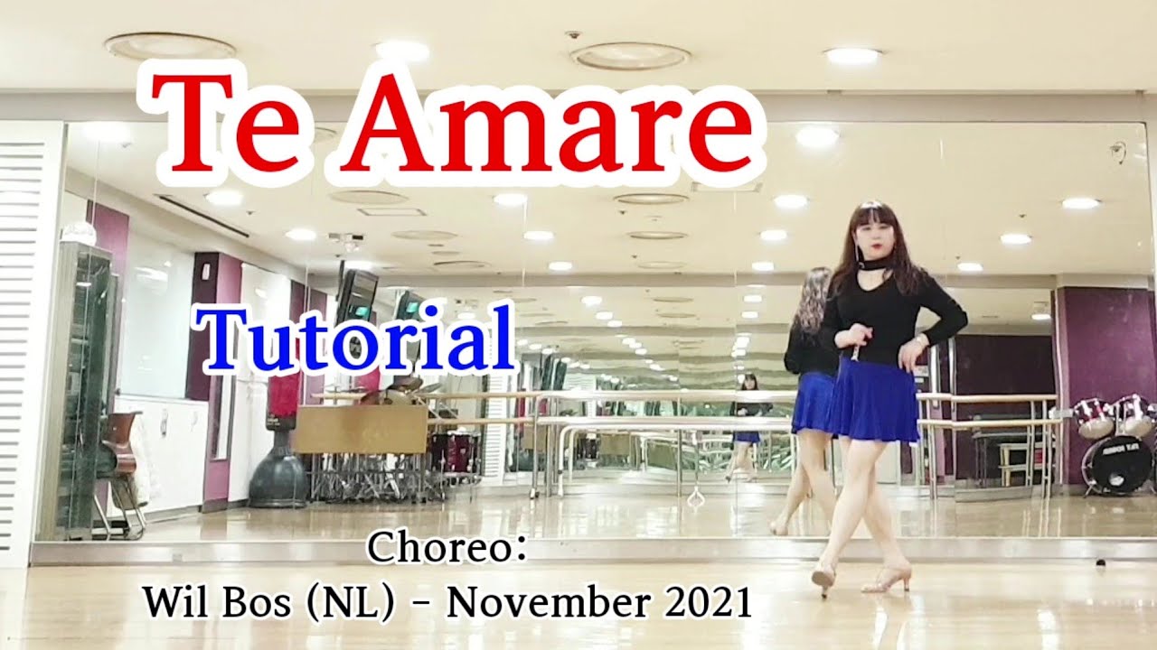 ✅Te Amare-Tutorial /테 아마레/스텝설명👣