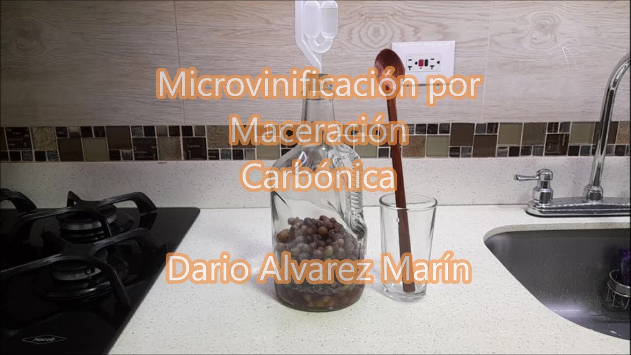 Microvinificación Carbónica Experimental (Vitis tiliifolia)