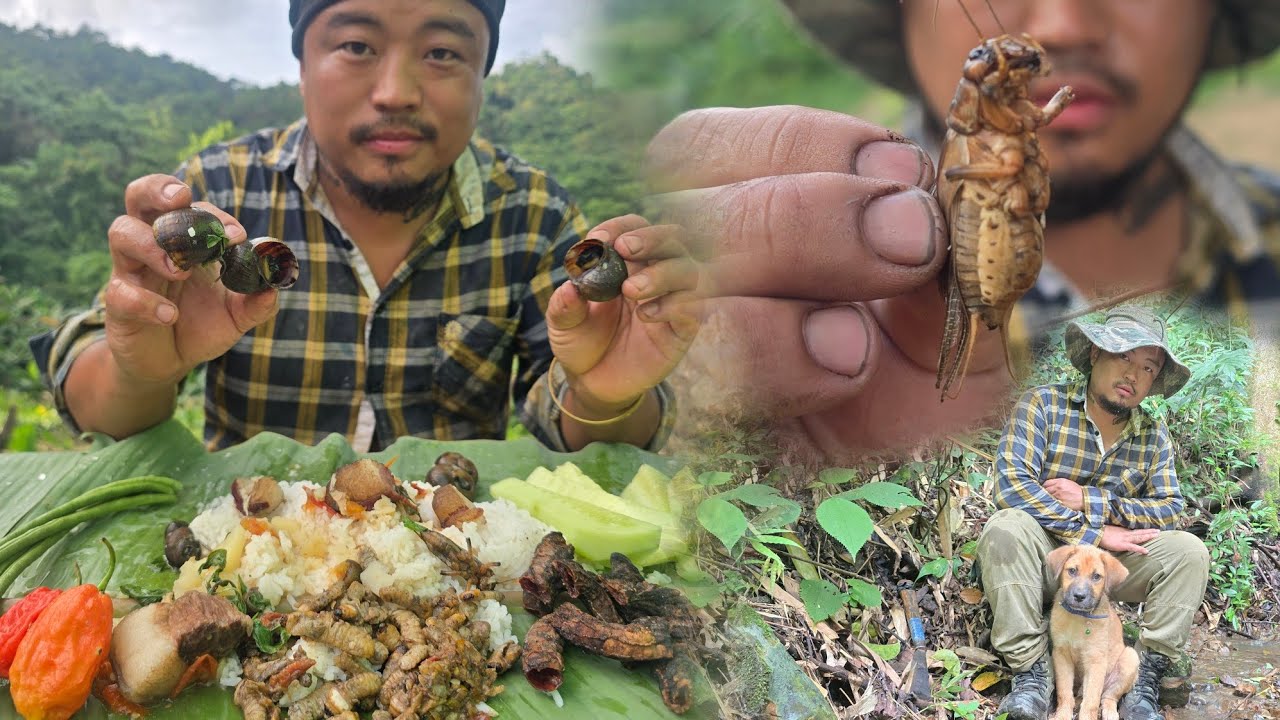 Giant snails,wood worms,crickets,grilled pig intestines  jungle delicacies. 