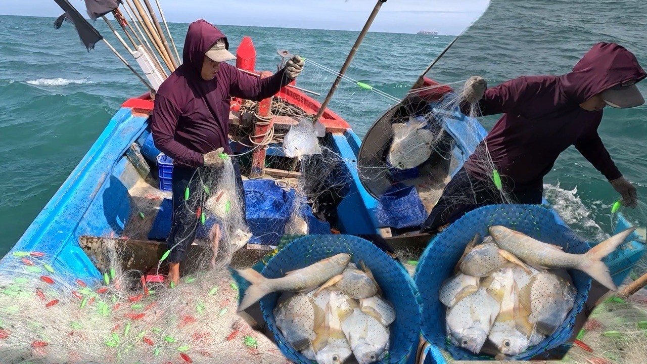 TRÚNG Cá Ngày Cuối Cùng Năm 2025_Bội Thu Gần 10Triệu Nhờ Gặp Cá Bàn Sa