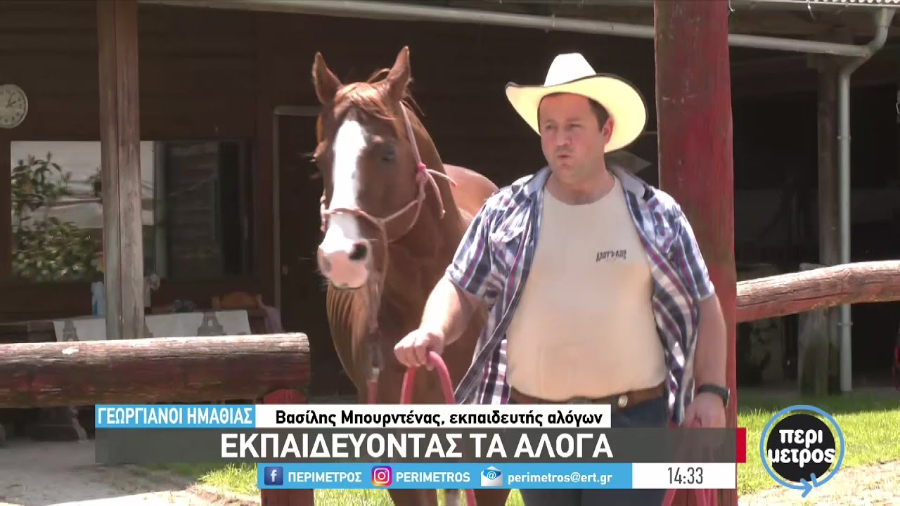 Εκπαιδεύοντας τα άλογα | 25/05/2023 | ΕΡΤ