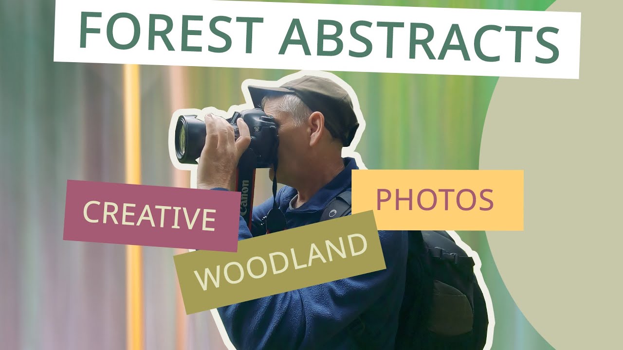 Abstract forest - creative woodland photography