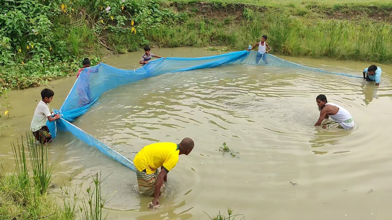 Amazing traditional net fishing video by village people - Fishing in village