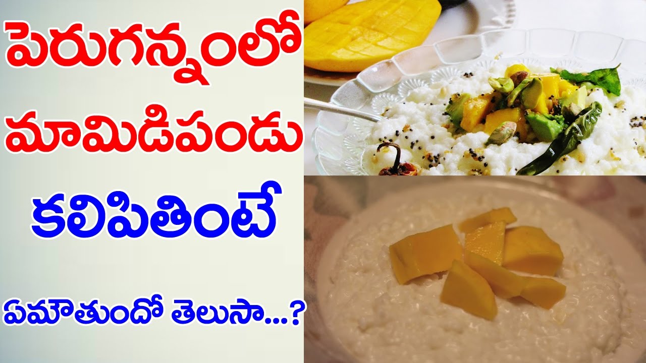 OMG! Do You Know What Happens If We Have Mango with Curd Rice? | Health Tips | VTube Telugu