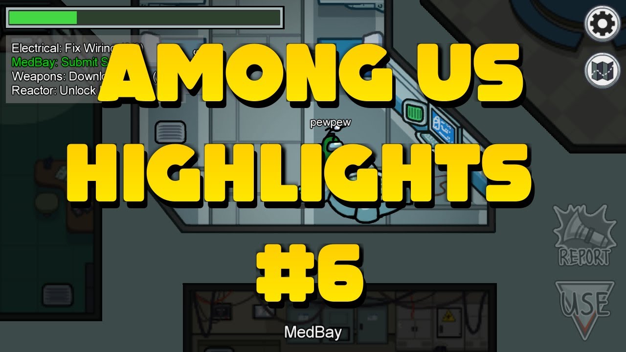 Among Us - Twitch Highlights #6