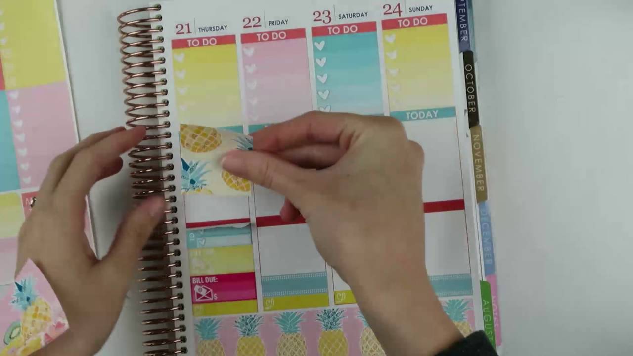 The Worst Plan With Me | Fun in the Sun (NicoleAlexiaDesigns)