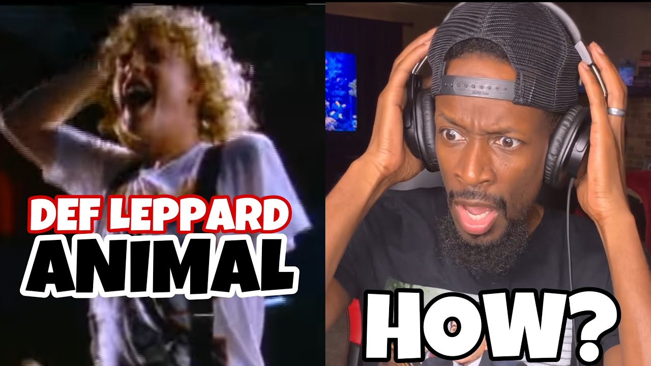 THAT'S MY GUY! Def Leppard - Animal | Reaction