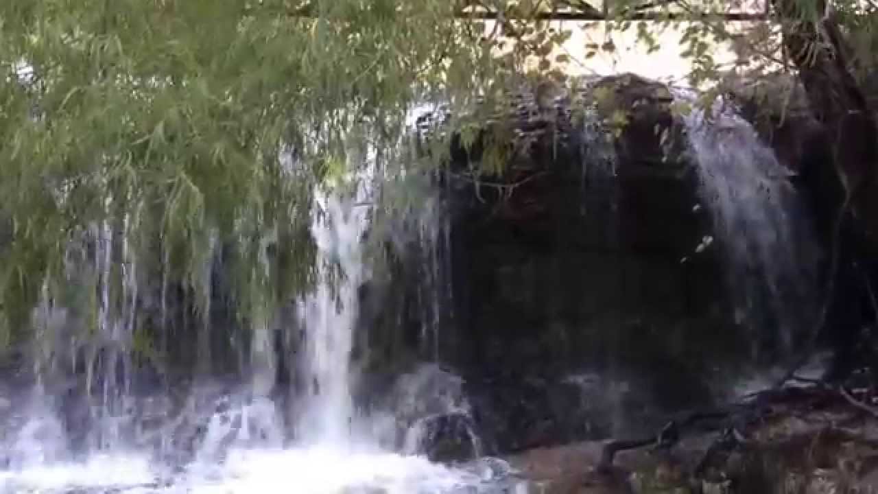 The Falls At Brushy Creek Regional Trail