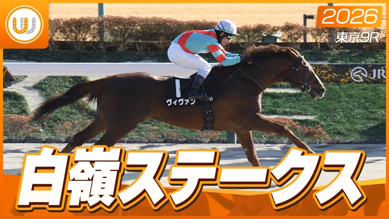 【レース映像】東京9R 白嶺ステークス｜ヴィヴァン（戸崎圭太）｜ウイニング競馬