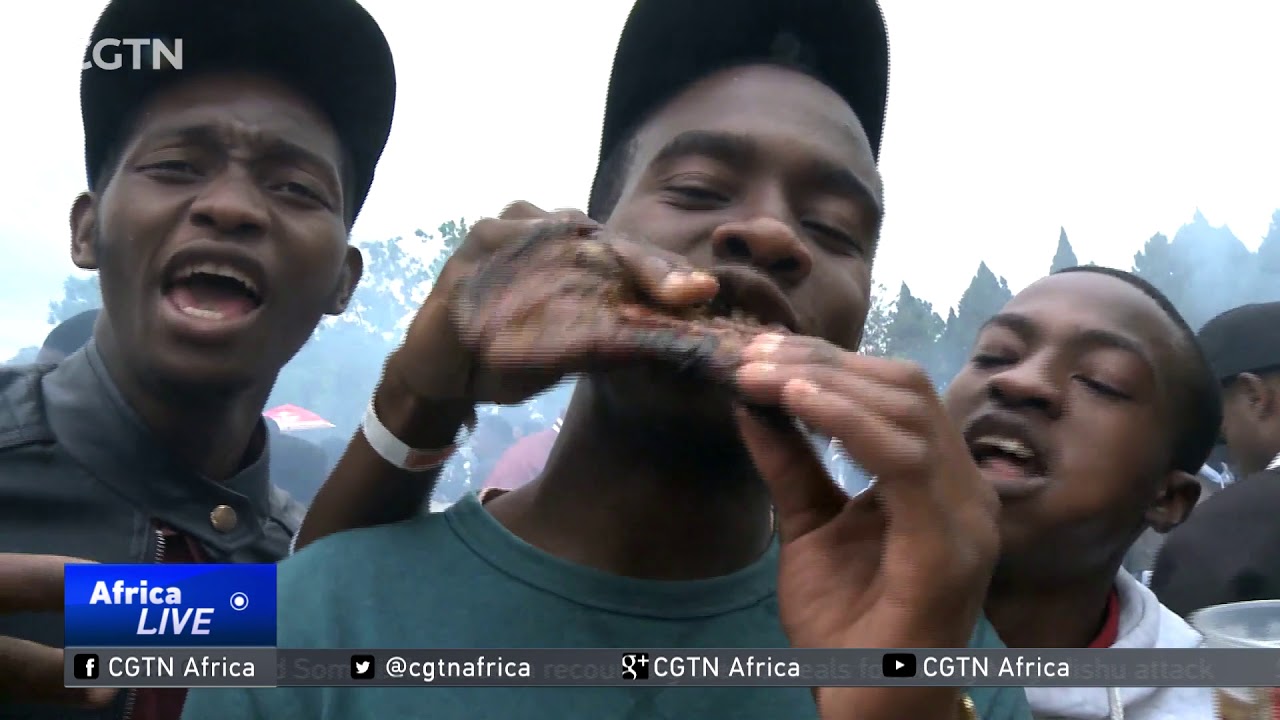 Thousands in Harare celebrate Braai festival