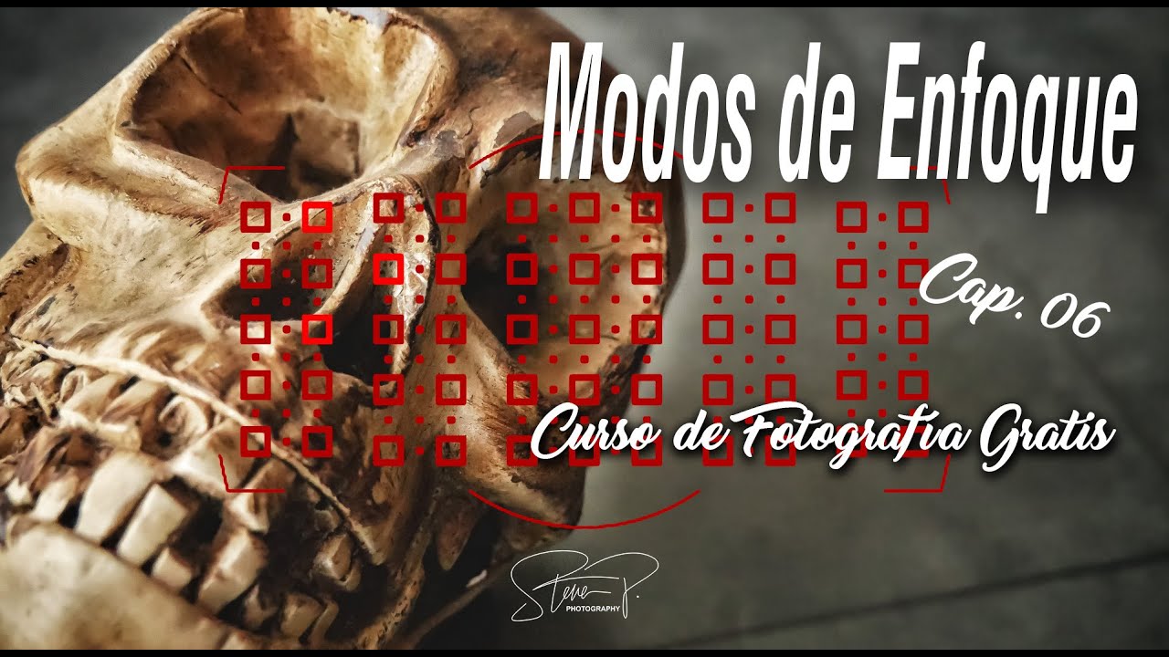 MODOS DE ENFOQUE EN FOTOGRAFÍA