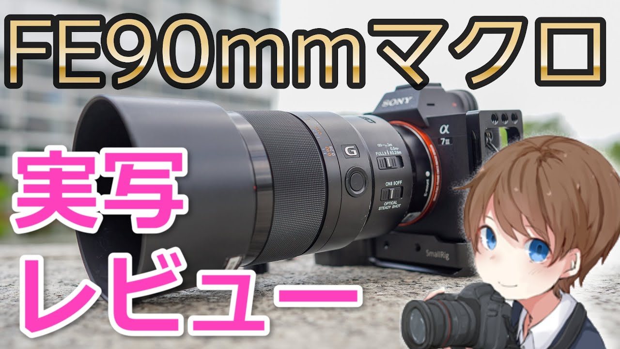 SEL90M28Gの作例付きレビュー　なぜ早く買わなかったのか後悔するレンズだ