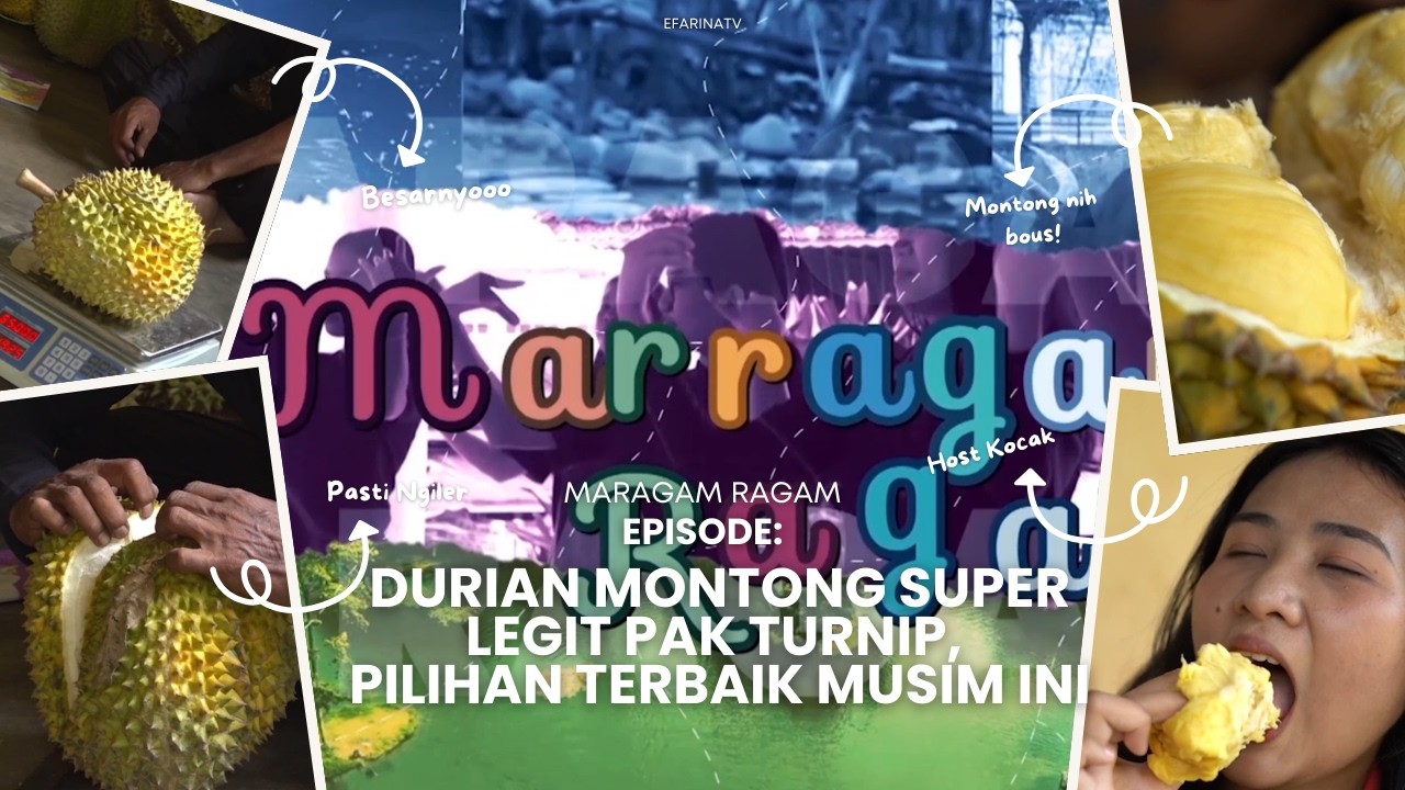 Durian Montong Pak Turnip Super Legit! Rasa Premium, Kualitas Juara - MARRAGAM RAGAM