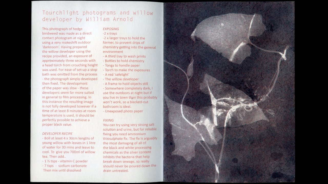 Plant Based Photographic Developers & Outdoor 'Darkroom'