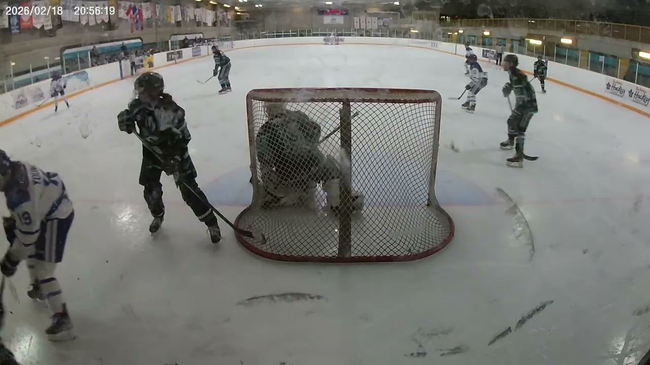 Sharks (RT) vs Etobicoke Dolphins 432 18Feb26 P1