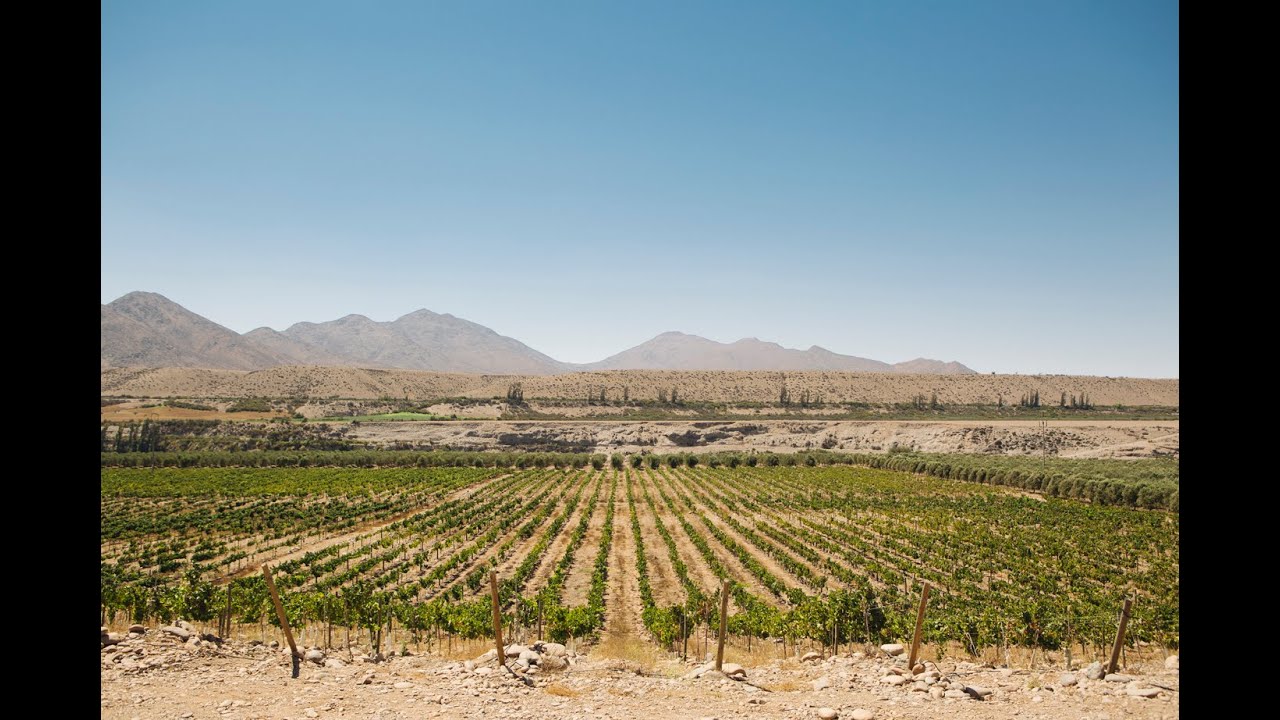 Tara Atacama:  Extreme By Nature, Pure by Essence