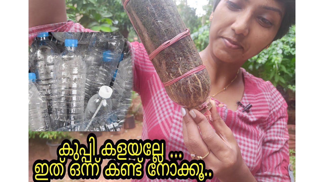 Wealth out of waste...a propagation method...