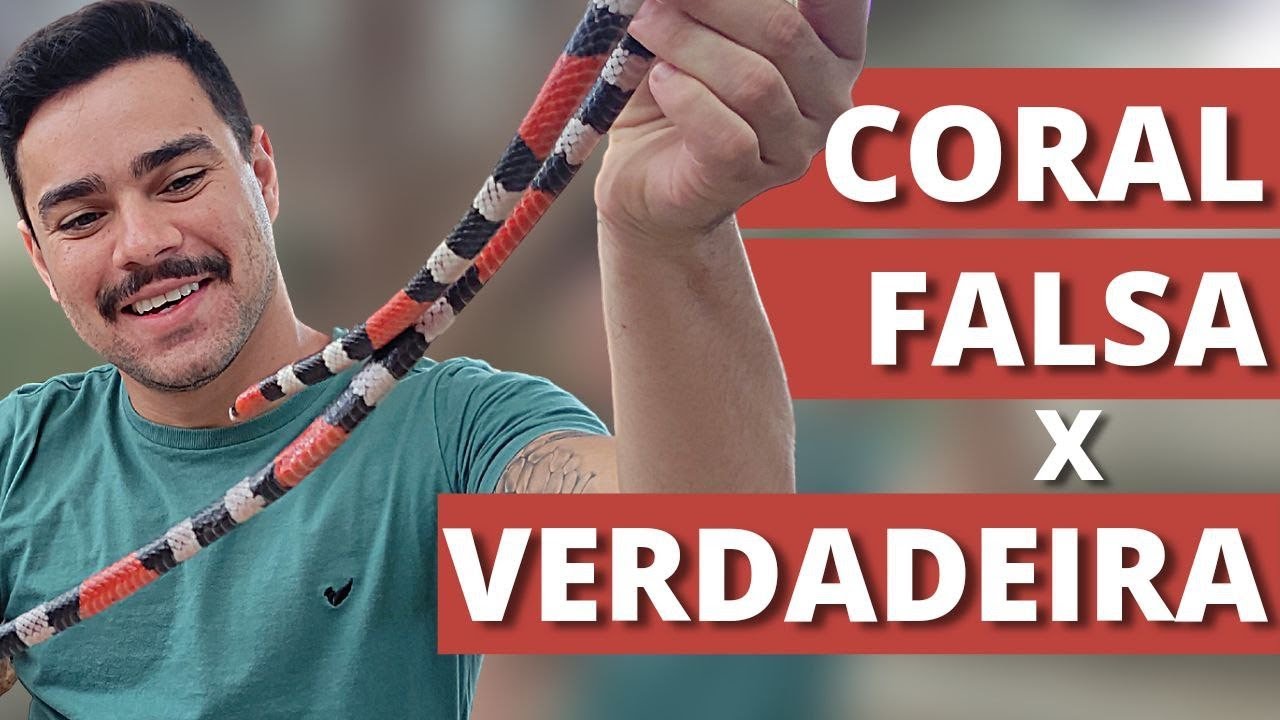 Coral verdadeira e falsa, como diferenciar?