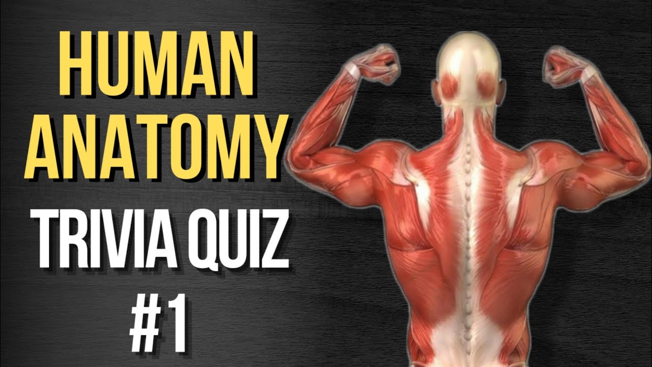 HUMAN ANATOMY TRIVIA QUIZ NO.1
