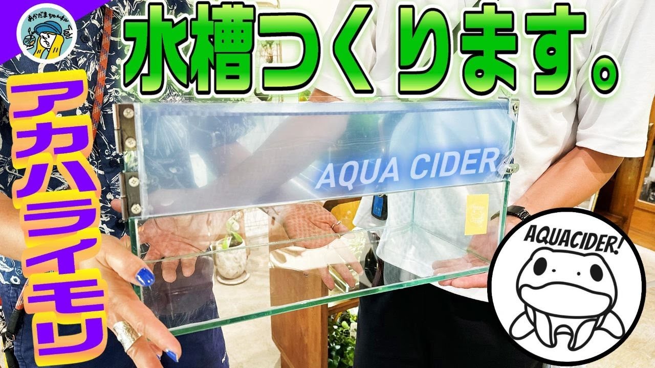 【アクアリウム】アクアサイダーがアカハライモリの水槽を作ります。（インスタグラマーのサイダーさんが水槽からレイアウトまで完全オリジナルでイモリウム製作します）