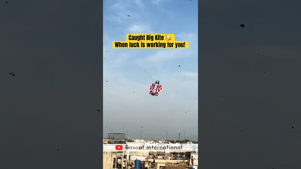 Big kite Basant Rawalpindi Pakistan 2024 | #basant2024 #basantfestival