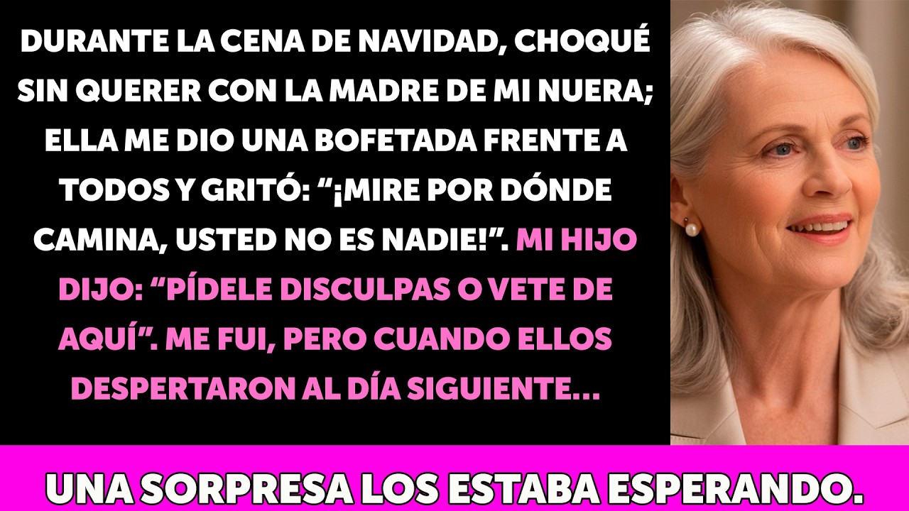 En Navidad choqué con la madre de mi nuera y ella me abofeteó… lo peor fue la reacción de mi hijo