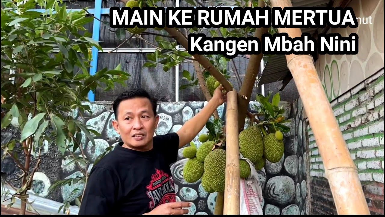 WES SUWE ORA DOLAN NEK MERTUA ( Kangen Mbah nini )