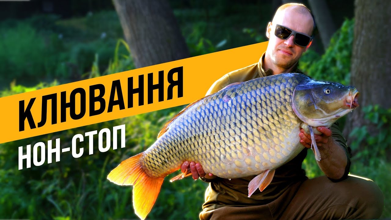 РИБОЛОВЛЯ МРІЇ! НОН-СТОП КЛЮВАННЯ! ТЕСТ НОВОГО БОЙЛУ! СПОГАДИ ПРО БАТЬКА!