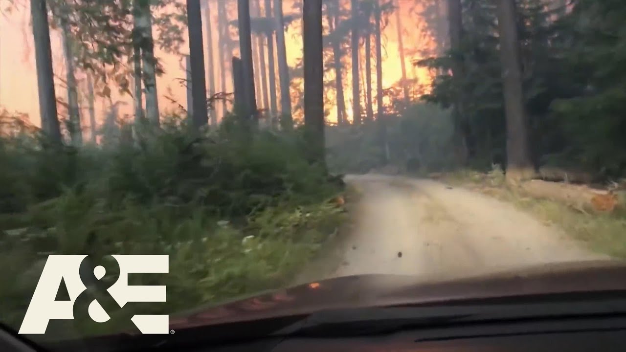 Nature Gone Wild: Wildfire (S1) | A&E