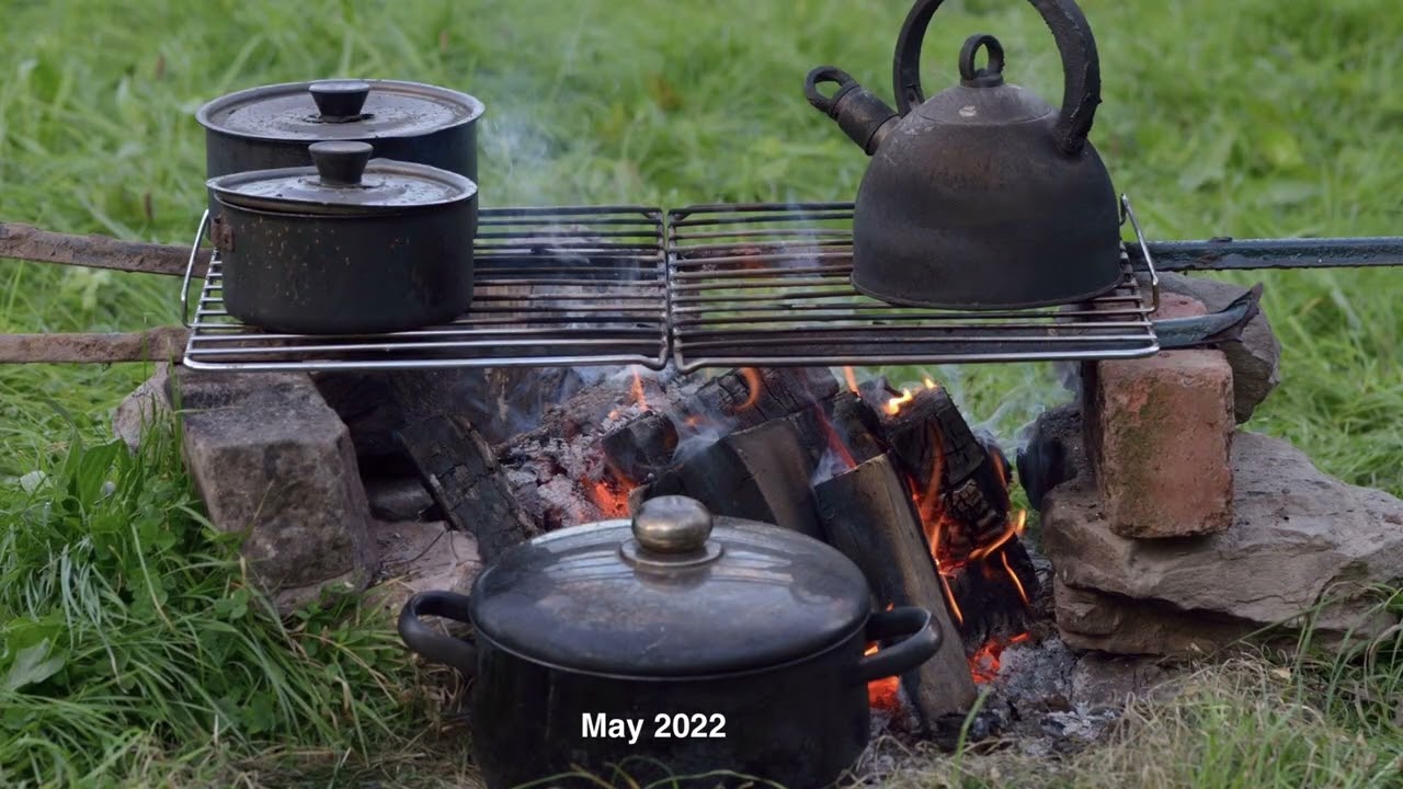The field over the years and seasons