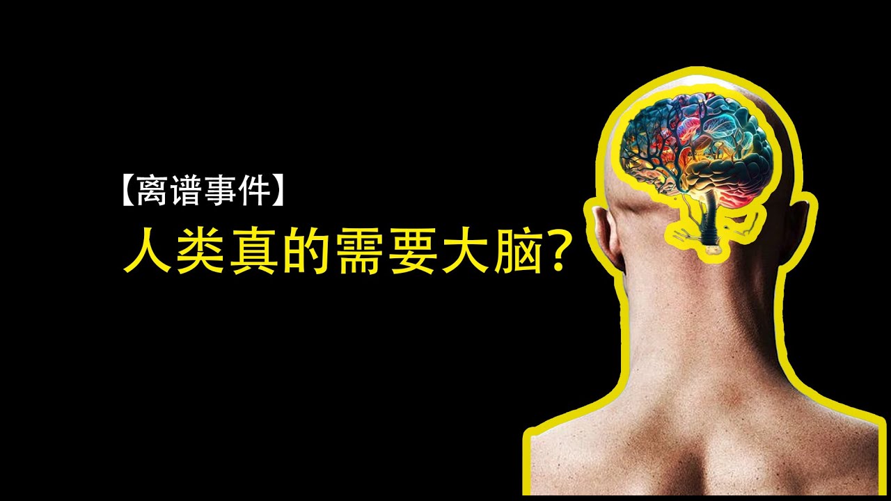 【离谱事件】一次意外竟让哈佛医学院开始怀疑，人类是否真的需要大脑 | 陀宇宙 | 奇闻轶事 | 真实事件