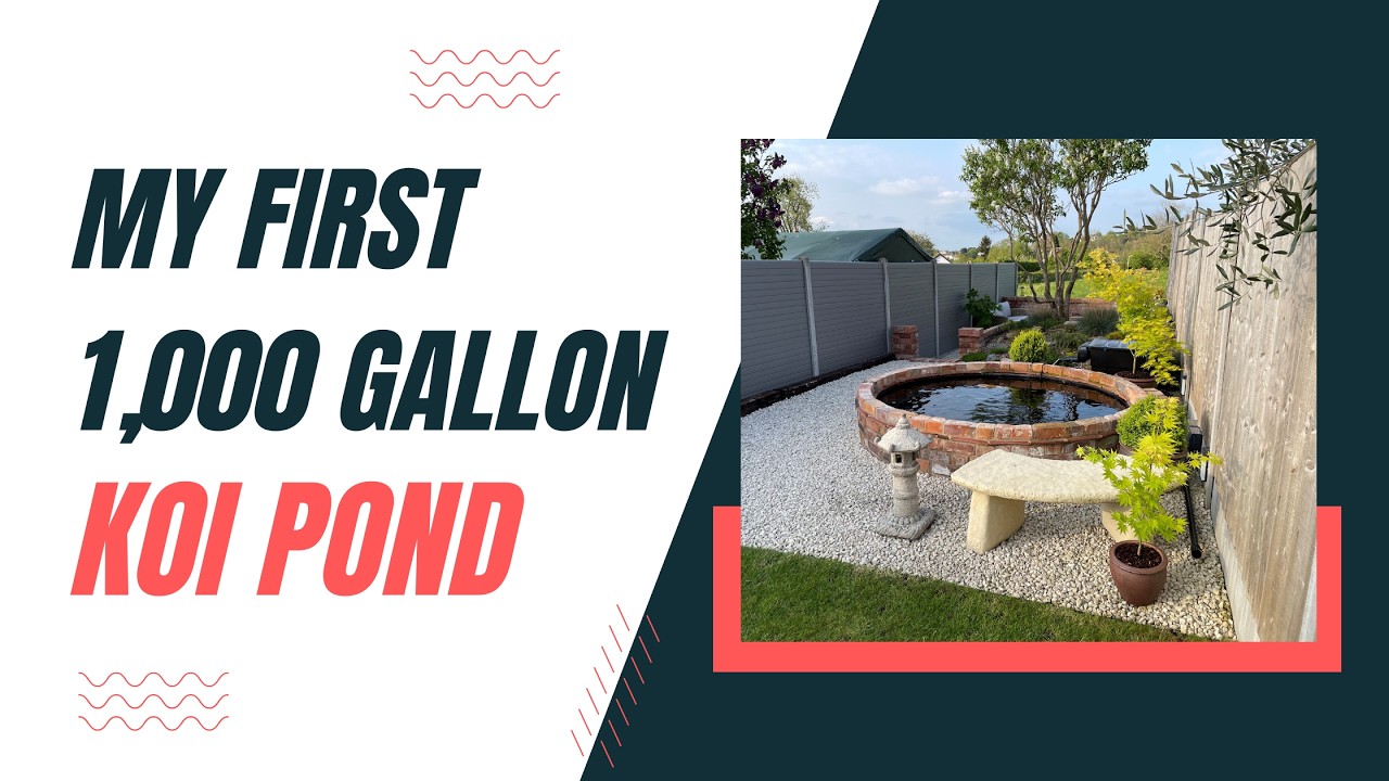 My First 1000 Gallon Koi Pond | Oase Biotec Screenmatic 60000 | Koi Filtration System | #koi
